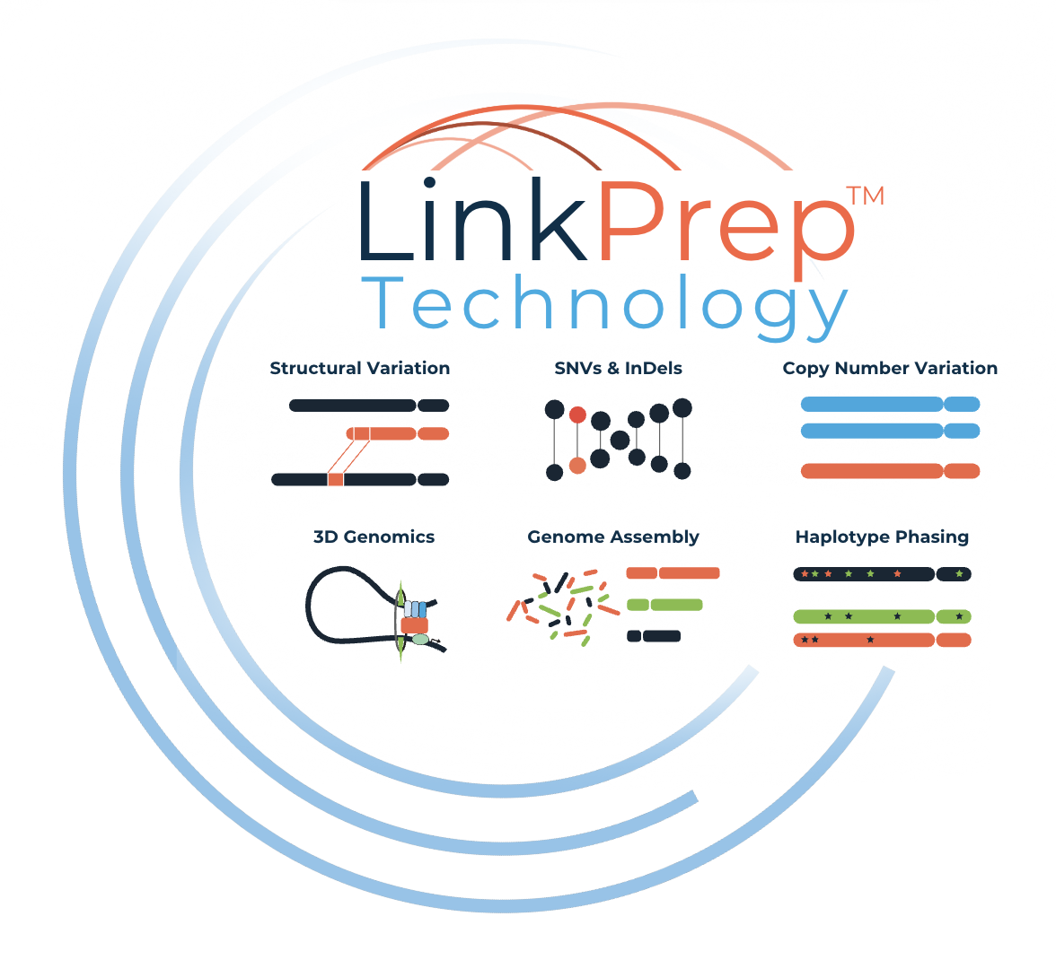 SNV, Haplotype phasing, indel, cnv, 3d genomics